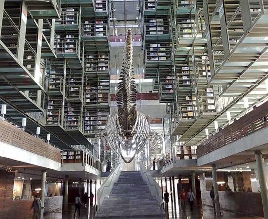 BIBLIOTECA VASCONCELOS